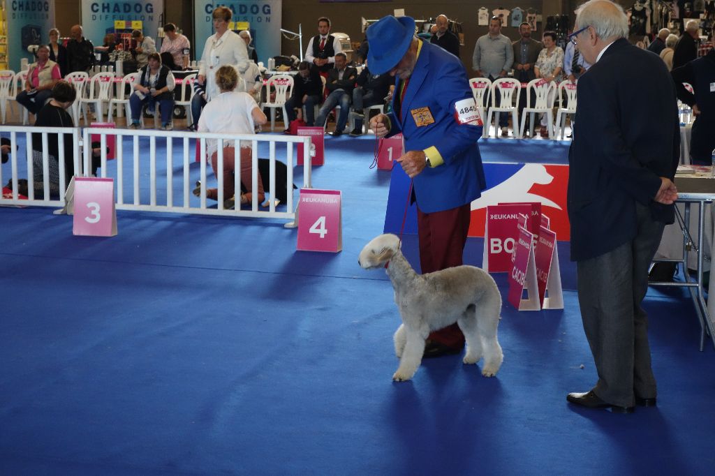 du Kinkajou - RÉSULTATS CHAMPIONNAT FRANCE 2017