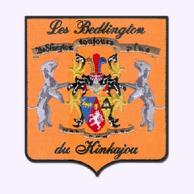 du Kinkajou - RÉSULTATS CHAMPIONNAT DE FRANCE 2011 VILLEPINTE