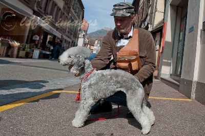 du Kinkajou - RÉSULTATS COLMAR 2012