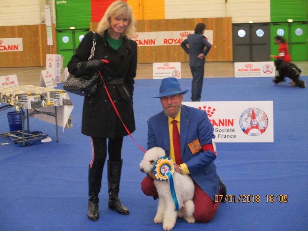 du Kinkajou - PARIS DOG SHOW 2018