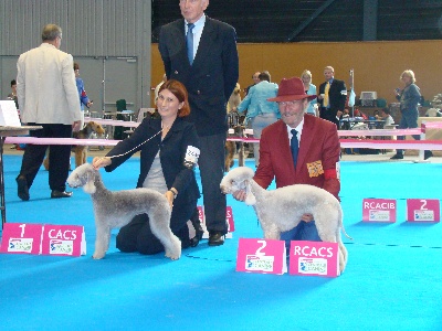 du Kinkajou - CHAMPIONNAT DE FRANCE A METZ 2012