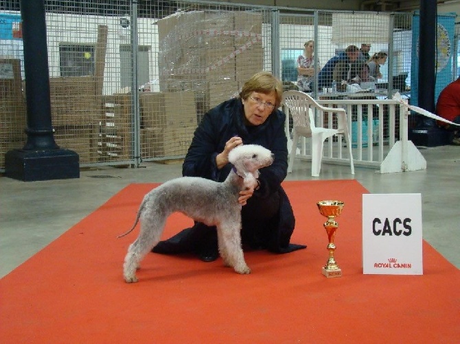 du Kinkajou - RÉSULTATS PARIS DOG SHOW DU 10 JANVIER 2015